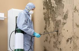 Best HVAC Mold Inspection and Cleaning  in Cadiz, KY